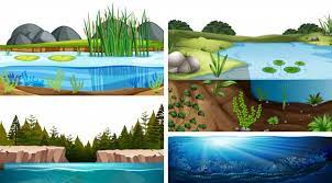 Aquatic ecosystems.jpg